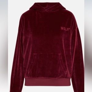 WSLY Velvet Sweatsuit Set